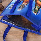 Τυπωμένη πιό δροσερή τσάντα Tote πικ-νίκ μεσημεριανού γεύματος τσαντών cOem λογότυπο που μονώνεται με το φερμουάρ